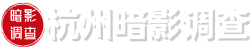 杭州暗影调查有限公司